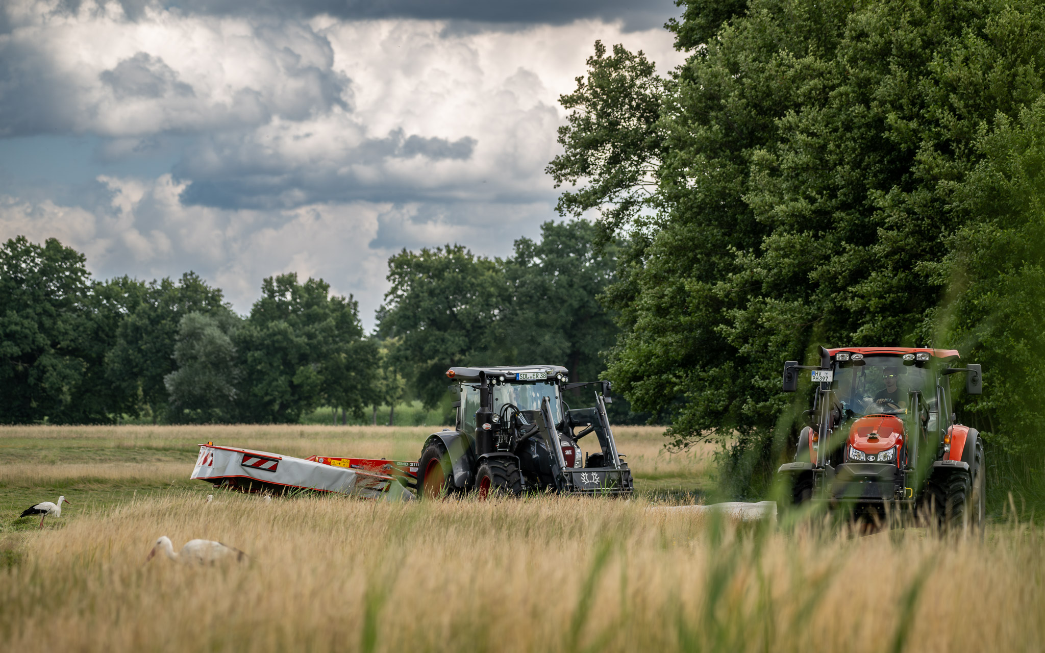 Heuernte am Schollener See
